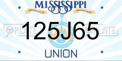125J65 Mississippi License Plate