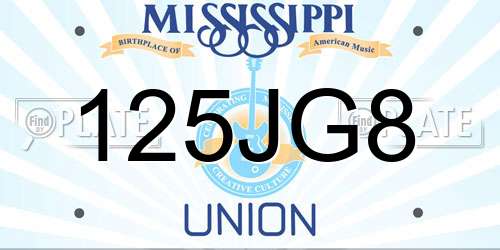 125JG8 Mississippi License Plate