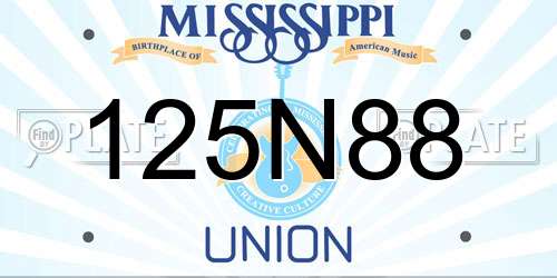 125N88 Mississippi License Plate