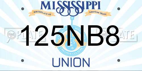 125NB8 Mississippi License Plate