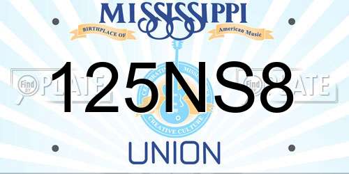 125NS8 Mississippi License Plate
