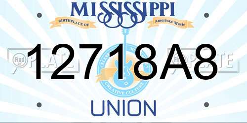 12718A8 Mississippi License Plate