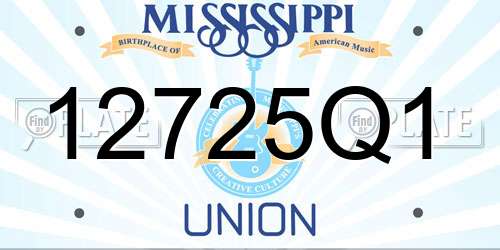 12725Q1 Mississippi License Plate