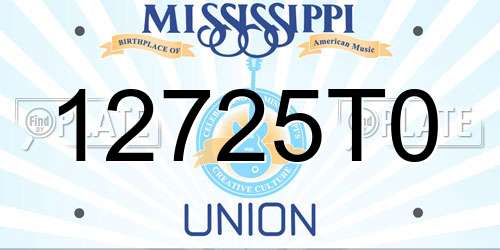 12725T0 Mississippi License Plate