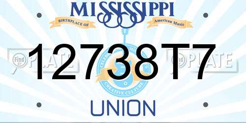 12738T7 Mississippi License Plate