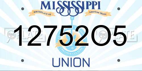 12752O5 Mississippi License Plate