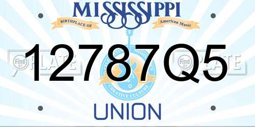 12787Q5 Mississippi License Plate
