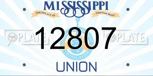 12807 Mississippi License Plate