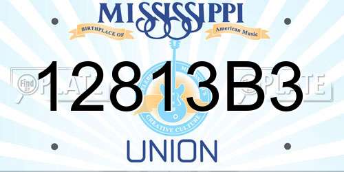 12813B3 Mississippi License Plate