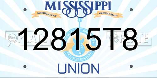 12815T8 Mississippi License Plate