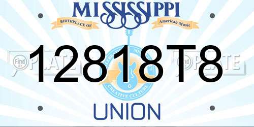 12818T8 Mississippi License Plate