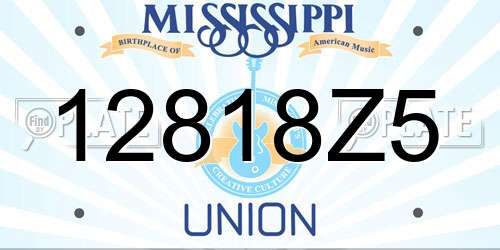 12818Z5 Mississippi License Plate