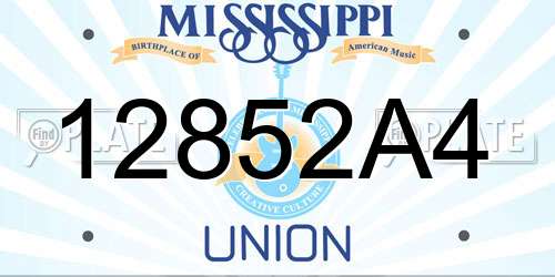 12852A4 Mississippi License Plate
