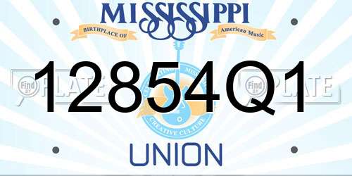 12854Q1 Mississippi License Plate