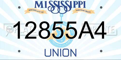 12855A4 Mississippi License Plate