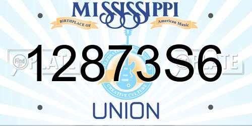 12873S6 Mississippi License Plate