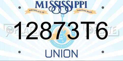 12873T6 Mississippi License Plate