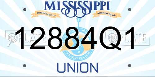12884Q1 Mississippi License Plate