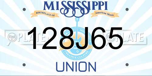 128J65 Mississippi License Plate