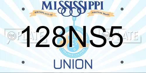 128NS5 Mississippi License Plate