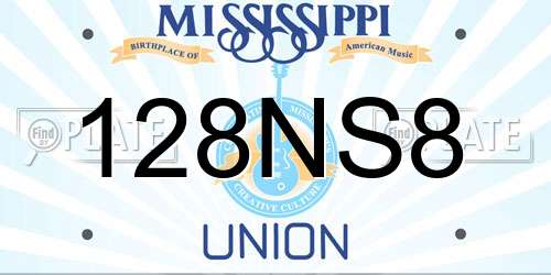 128NS8 Mississippi License Plate