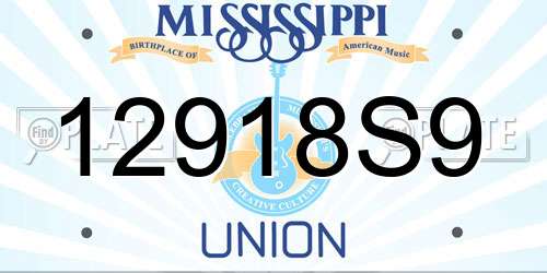 12918S9 Mississippi License Plate