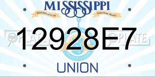 12928E7 Mississippi License Plate
