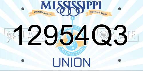 12954Q3 Mississippi License Plate