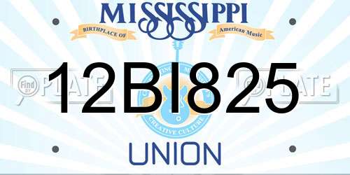 12BI825 Mississippi License Plate