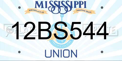 12BS544 Mississippi License Plate
