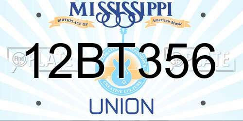 12BT356 Mississippi License Plate