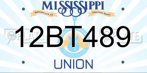 12BT489 Mississippi License Plate