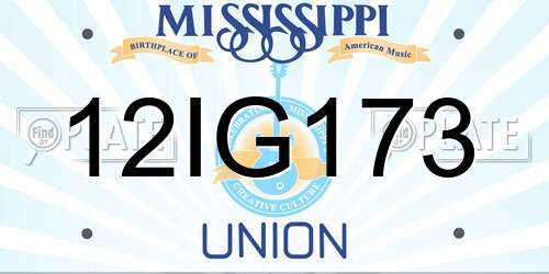 12IG173 Mississippi License Plate
