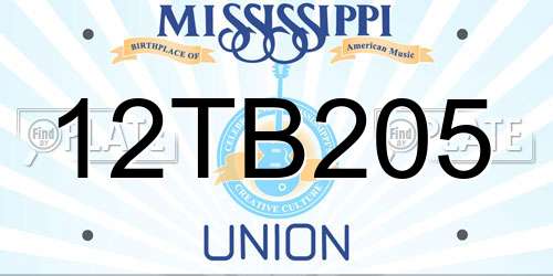 12TB205 Mississippi License Plate