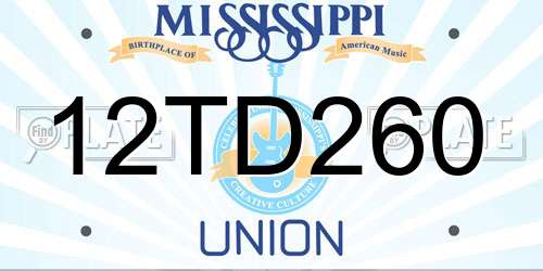 12TD260 Mississippi License Plate