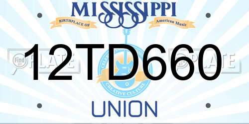 12TD660 Mississippi License Plate