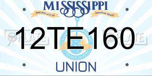 12TE160 Mississippi License Plate