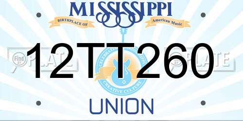 12TT260 Mississippi License Plate