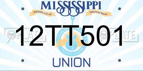 12TT501 Mississippi License Plate