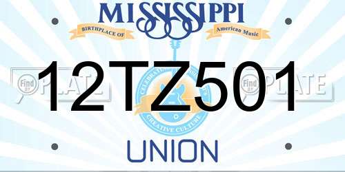 12TZ501 Mississippi License Plate