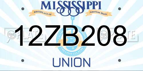 12ZB208 Mississippi License Plate