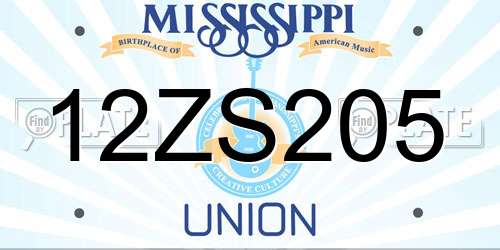 12ZS205 Mississippi License Plate
