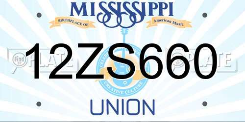 12ZS660 Mississippi License Plate