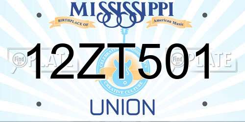 12ZT501 Mississippi License Plate