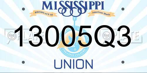 13005Q3 Mississippi License Plate