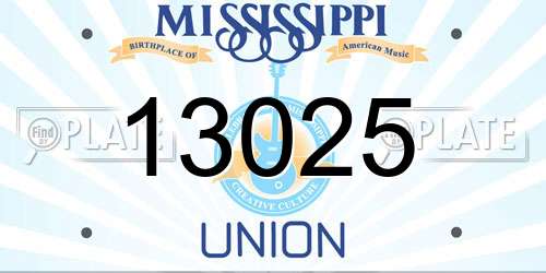 13025 Mississippi License Plate