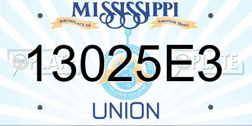 13025E3 Mississippi License Plate