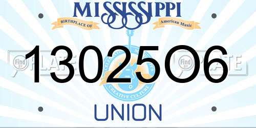 13025O6 Mississippi License Plate