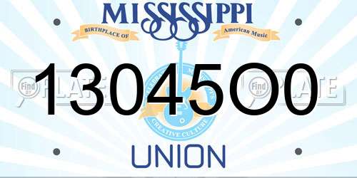 13045O0 Mississippi License Plate