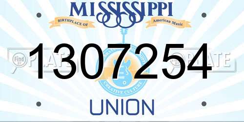 1307254 Mississippi License Plate